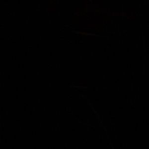 Meet your Posher, Bryn